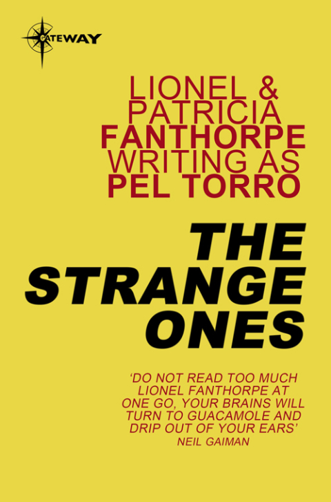 Cover image for book The Strange Ones