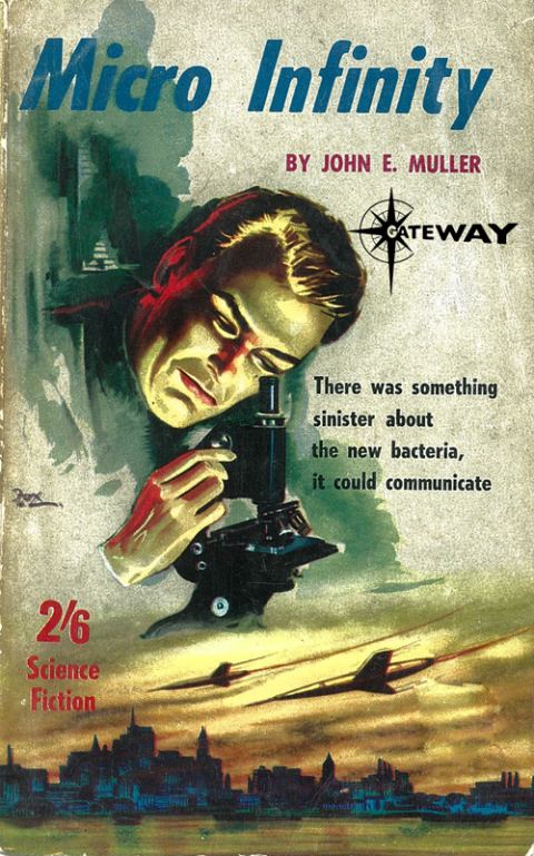 Cover image for book Micro Infinity
