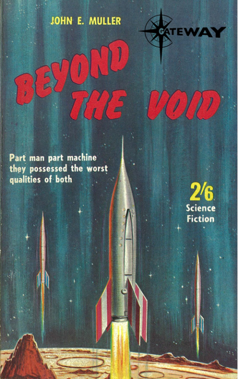 Cover image for book Beyond the Void