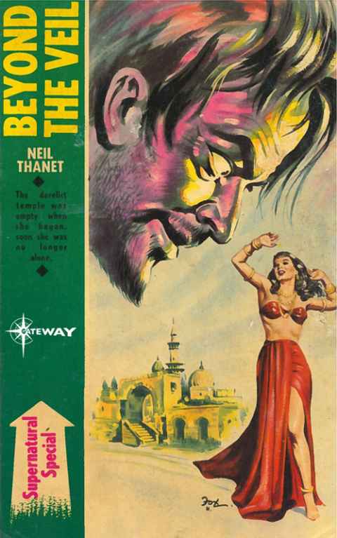 Cover image for book Beyond the Veil