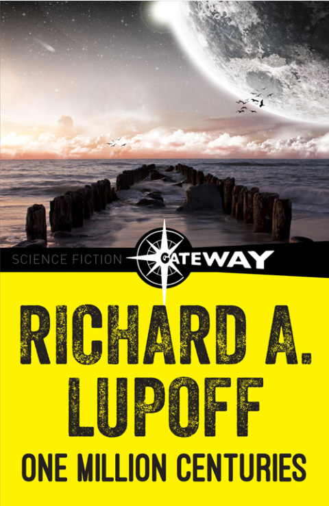 Cover image for book One Million Centuries