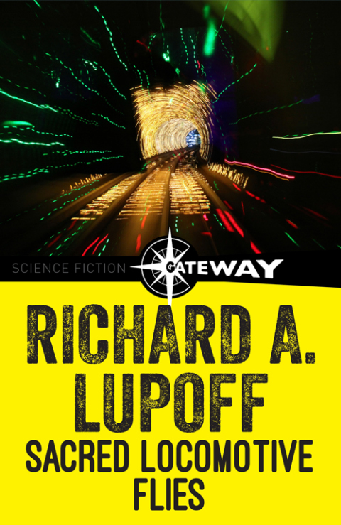 Cover image for book Sacred Locomotive Flies