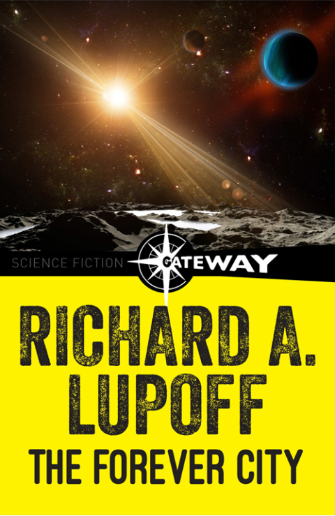 Cover image for book The Forever City