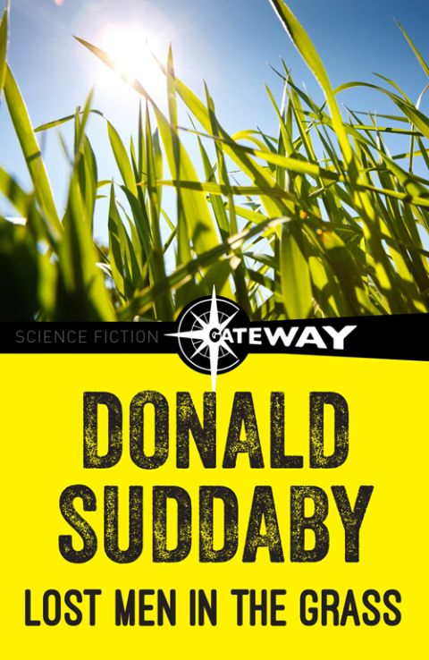 Cover image for book Lost Men in the Grass