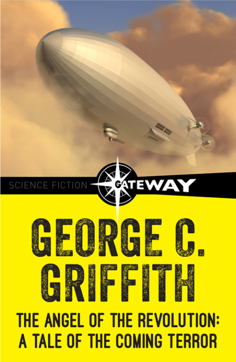 Cover image for book The Angel of the Revolution