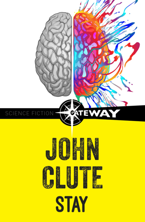 Cover image for book Stay
