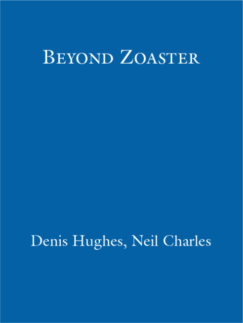 Cover image for book Beyond Zoaster