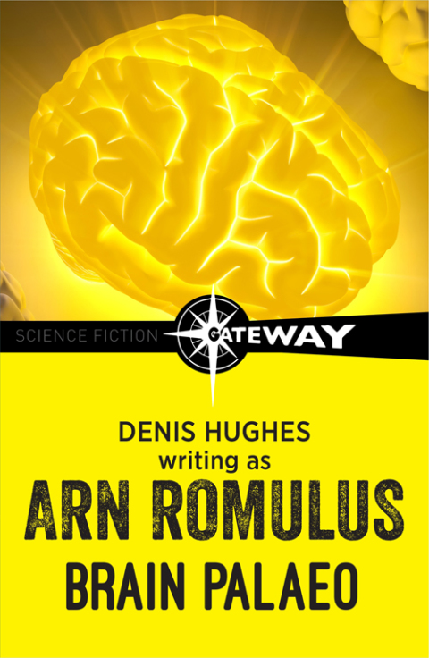 Cover image for book Brain Palaeo