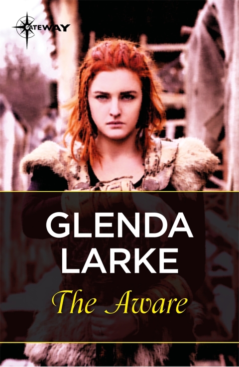Cover image for book The Aware