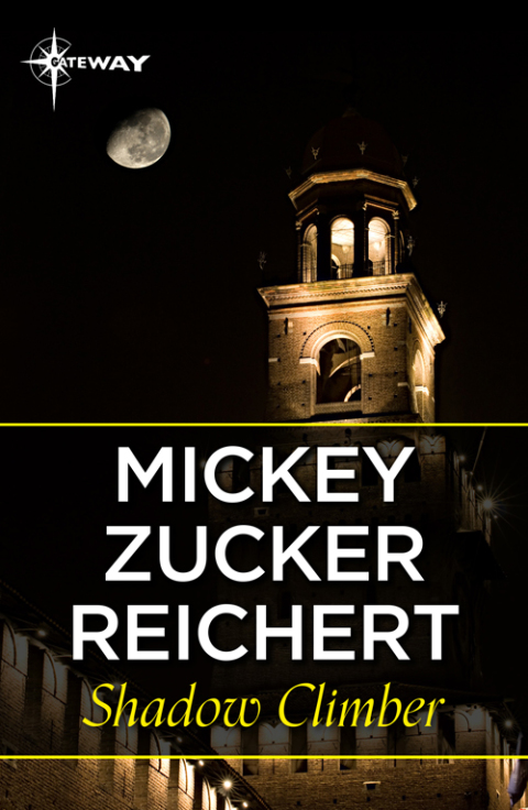 Cover image for book Shadow Climber
