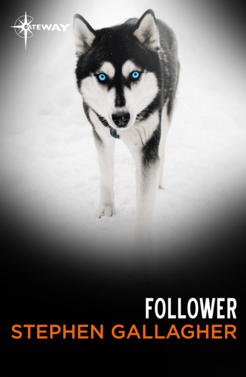 Cover image for book Follower