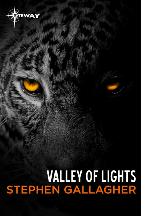 Cover image for book Valley of Lights