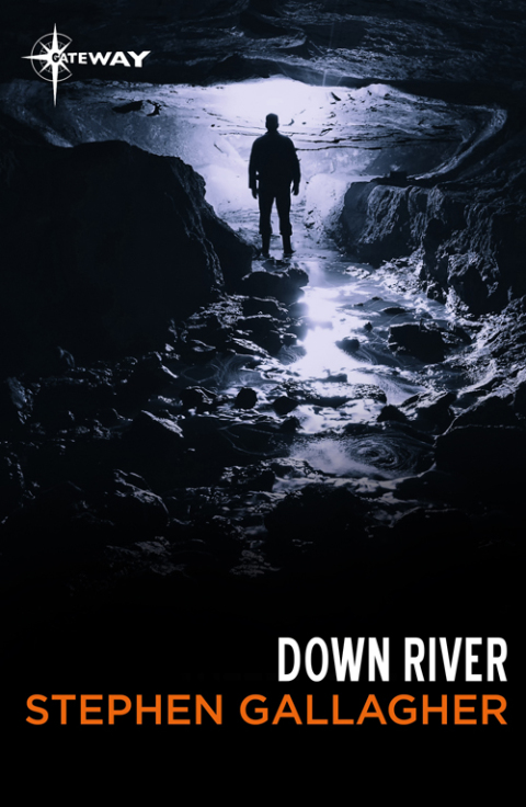Cover image for book Down River