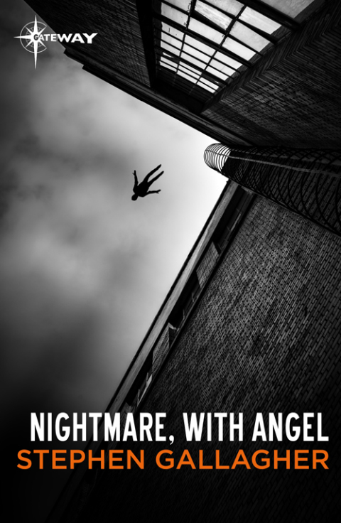 Cover image for book Nightmare, with Angel