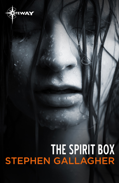 Cover image for book The Spirit Box