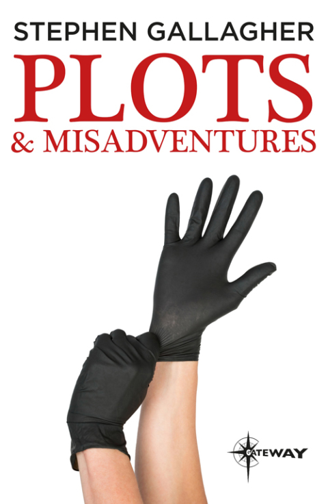Cover image for book Plots and Misadventures