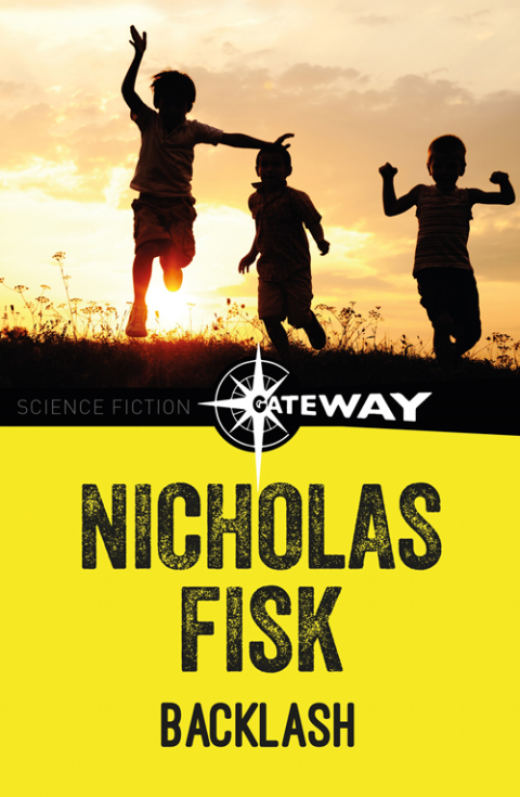 Cover image for book Backlash