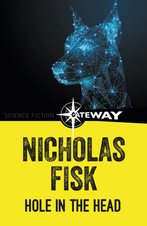 Cover image for book A Hole In The Head
