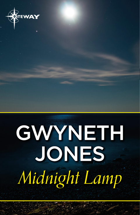 Cover image for book Midnight Lamp