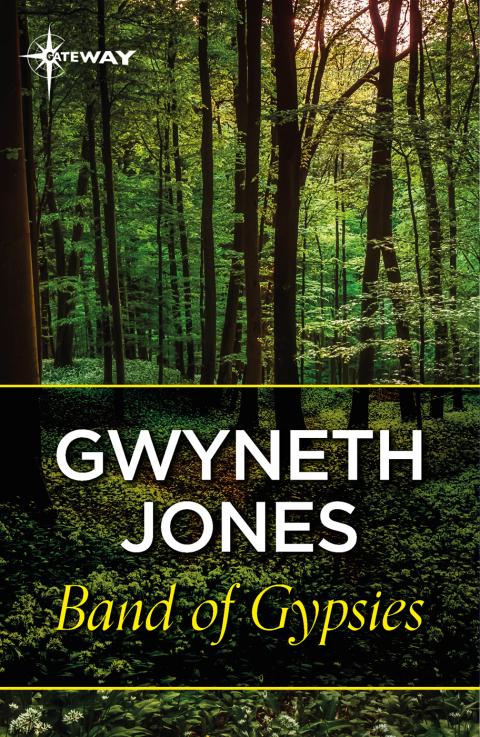 Cover image for book Band Of Gypsys