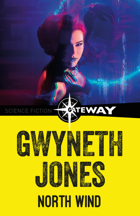 Cover image for book North Wind