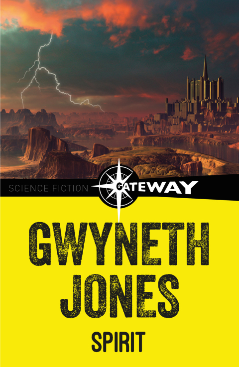 Cover image for book Spirit