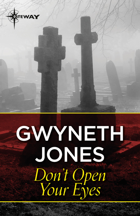 Cover image for book Don't Open Your Eyes