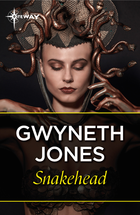 Cover image for book Snakehead