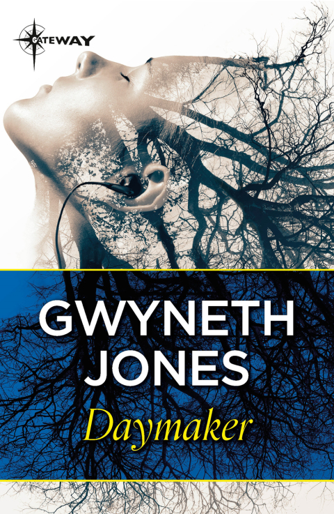 Cover image for book Daymaker