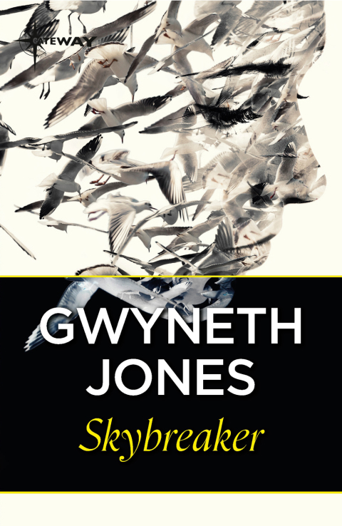 Cover image for book Skybreaker
