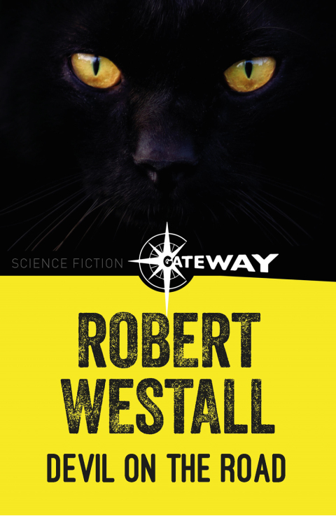 Cover image for book Devil on the Road