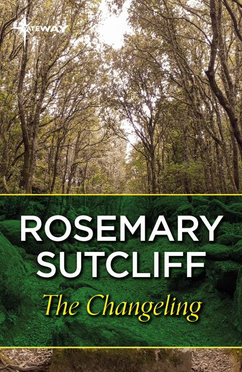 Cover image for book The Changeling