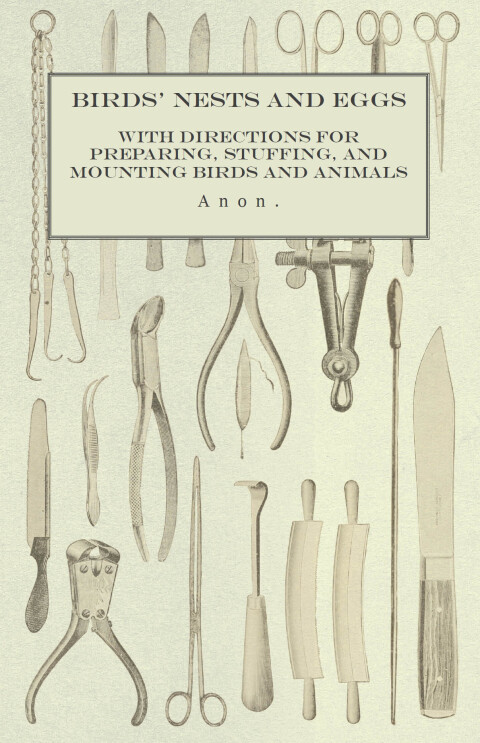 Cover image for book Birds' Nests and Eggs - With Directions for Preparing, Stuffing, and Mounting Birds and Animals