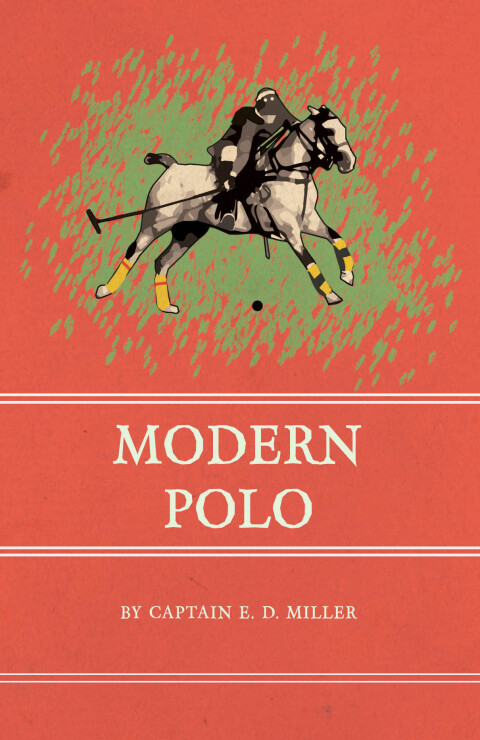 Modern Polo 