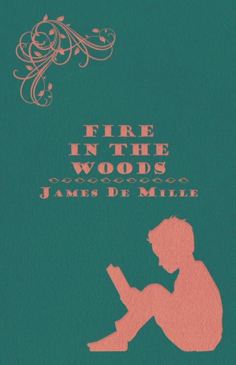 Cover image for book Fire in the Woods