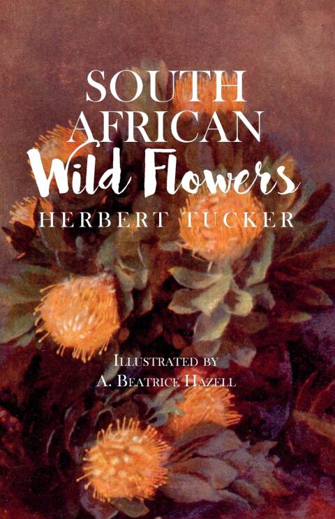 Cover image for book South African Wild Flowers - Illustrated by A. Beatrice Hazell