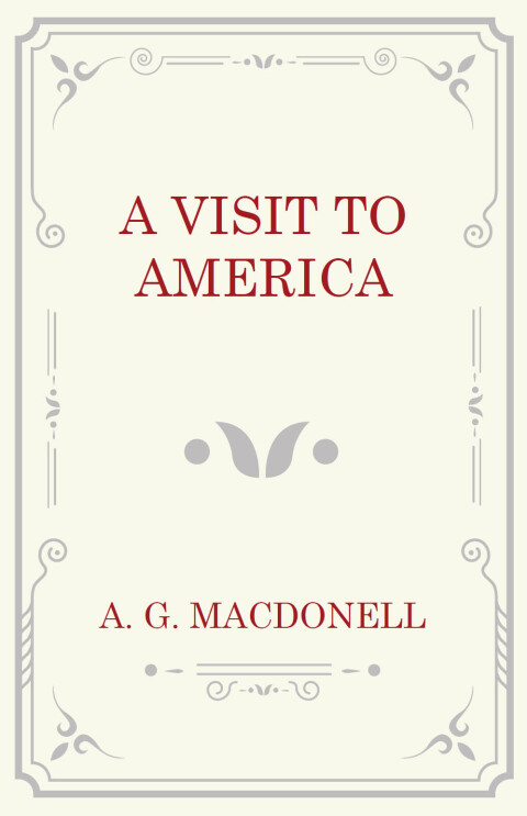 Cover image for book A Visit to America