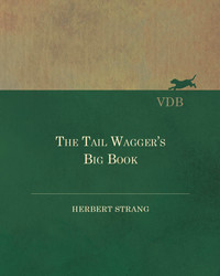 Cover image: The Tail Wagger's Big Book 9781473331181
