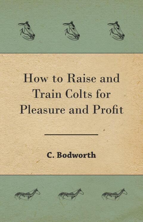 Cover image for book How to Raise and Train Colts for Pleasure and Profit