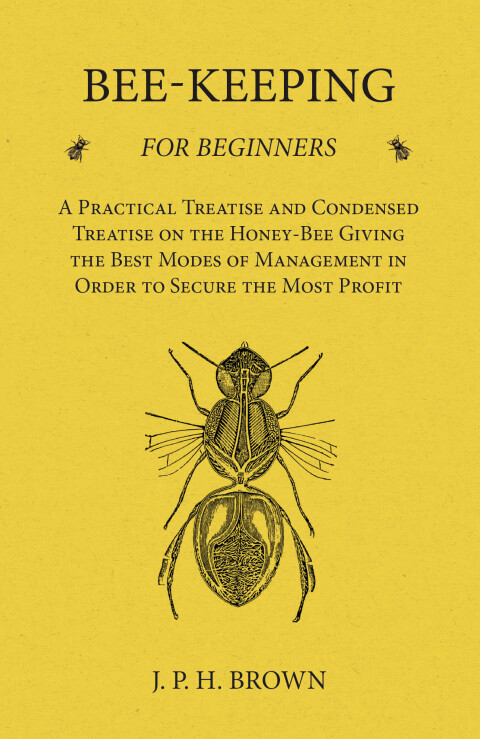 Cover image for book Bee-Keeping for Beginners - A Practical Treatise and Condensed Treatise on the Honey-Bee Giving the Best Modes of Management in Order to Secure the Most Profit