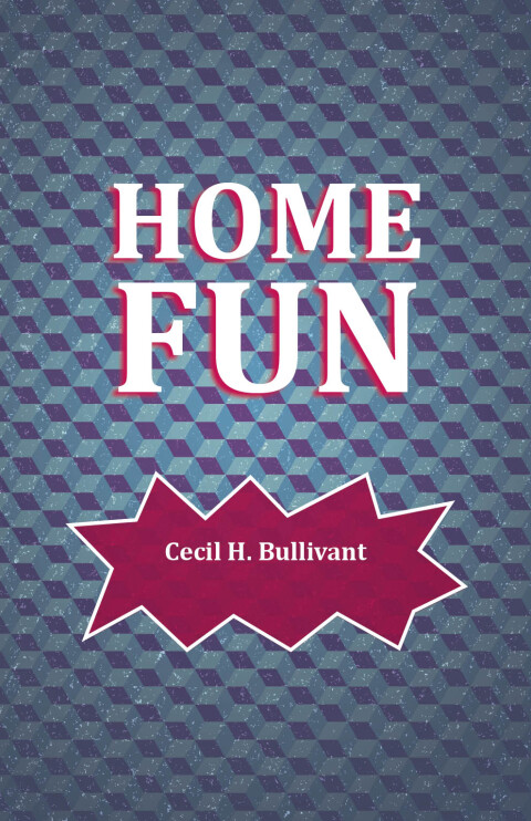 Cover image for book Home Fun