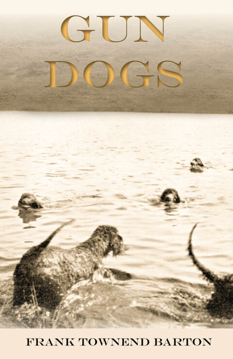 Cover image for book Gun Dogs