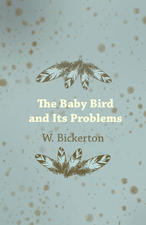Cover image for book The Baby Bird and Its Problems