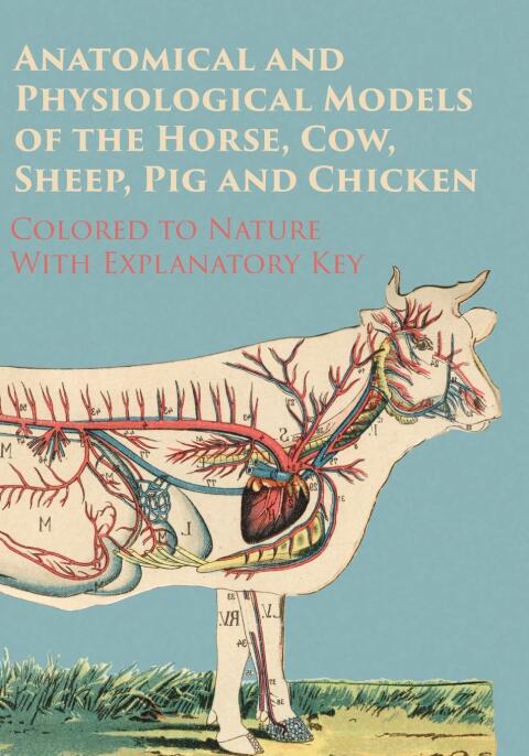 Cover image for book Anatomical and Physiological Models of the Horse, Cow, Sheep, Pig and Chicken - Colored to Nature - With Explanatory Key