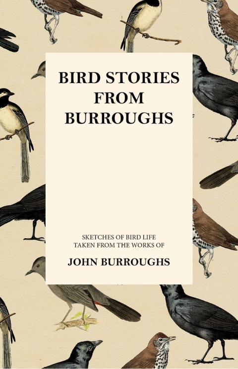 Cover image for book Bird Stories from Burroughs - Sketches of Bird Life Taken from the Works of John Burroughs