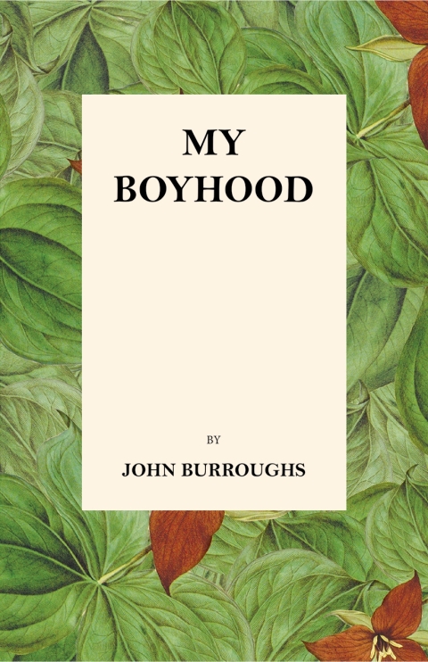 Cover image for book My Boyhood