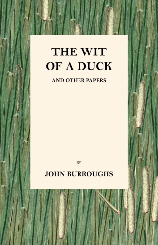 The Wit of a Duck and Other Papers