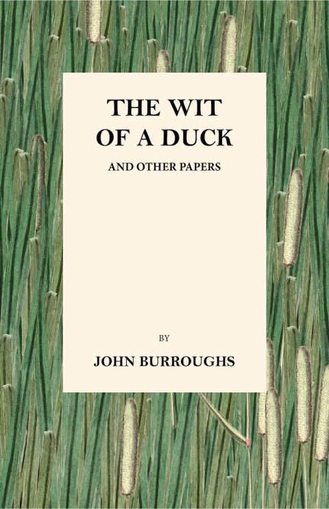 Cover image for book The Wit of a Duck and Other Papers