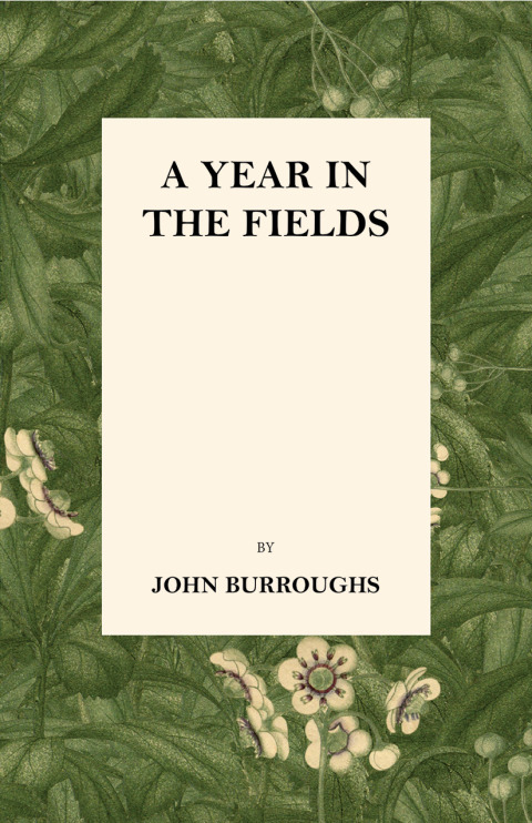 Cover image for book A Year in the Fields
