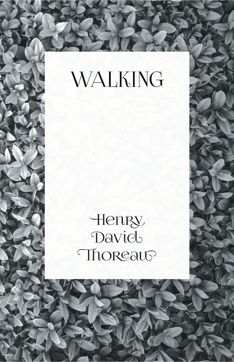 Cover image for book Walking